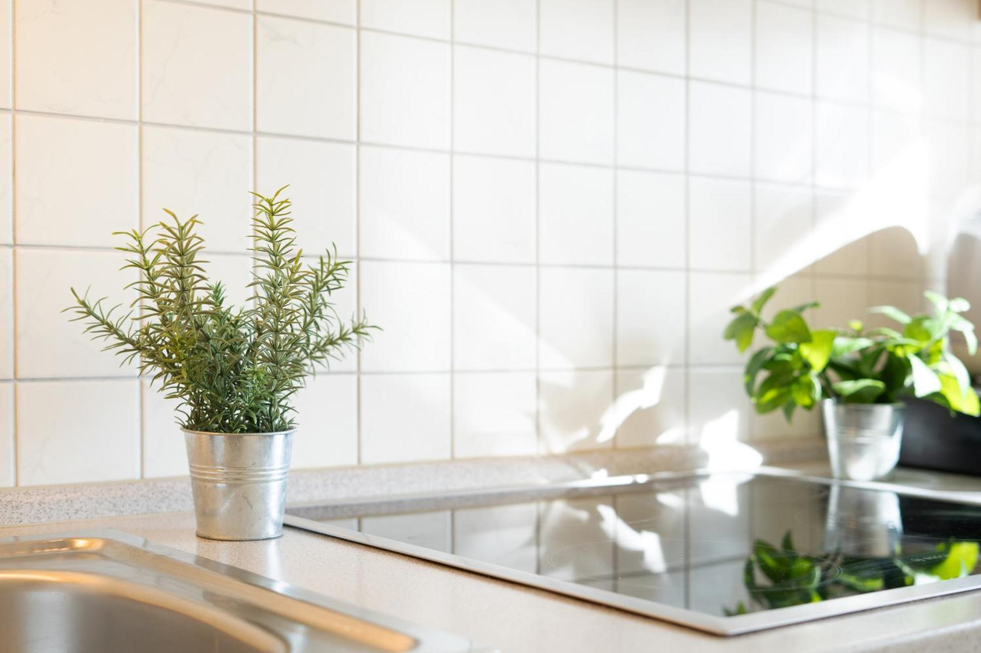 Relax Apartment บวร์ก เอาฟ์ เฟมาร์น ภายนอก รูปภาพ